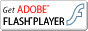 FLASH�v���O�C���͂�����I