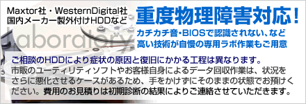 Maxtor / Western Digital など、重度物理障害からのデータ回収にも対応致します。詳細はお問い合わせください。