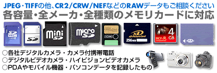 JPEG・TFFの他、CR2/CRW/NEFなどのRAWデータの復旧・復元・画像修復もご相談ください